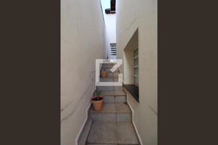 Casa à venda com 258m², 2 quartos e 3 vagasQuintal