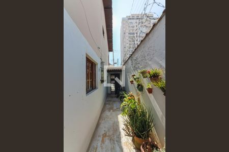 Casa à venda com 125m², 2 quartos e 2 vagas Casa à venda com 125m², 2 quartos e 2 vagasLavanderia