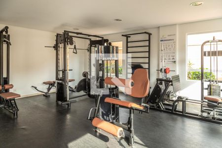 Apartamento à venda com 52m², 2 quartos e 1 vaga Apartamento à venda com 52m², 2 quartos e 1 vagaÁrea comum - Academia