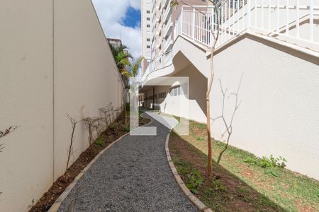 Apartamento para alugar com 50m², 2 quartos e 1 vaga Apartamento para alugar com 50m², 2 quartos e 1 vagaÁrea comum - Espaço Pet