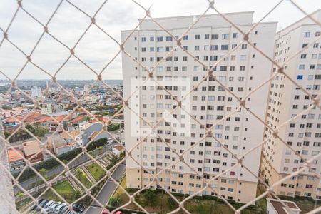 Apartamento à venda com 57m², 3 quartos e 1 vagaVista do Quarto 1
