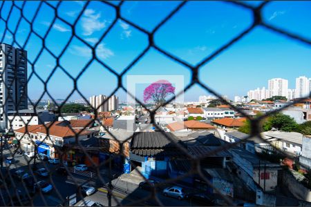 Apartamento para alugar com 110m², 3 quartos e 2 vagasVista da Varanda