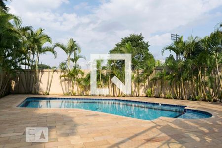 Apartamento para alugar com 63m², 3 quartos e 1 vaga Apartamento para alugar com 63m², 3 quartos e 1 vagaPiscina