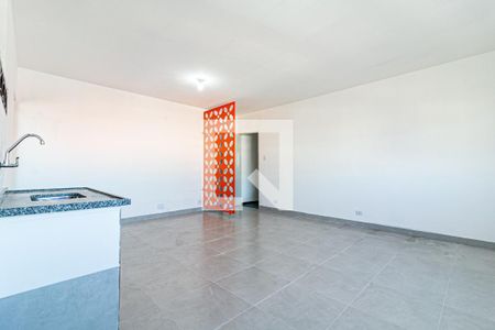 Sala/Cozinha/Quarto de casa para alugar com 1 quarto, 48m² em Penha de França, São Paulo