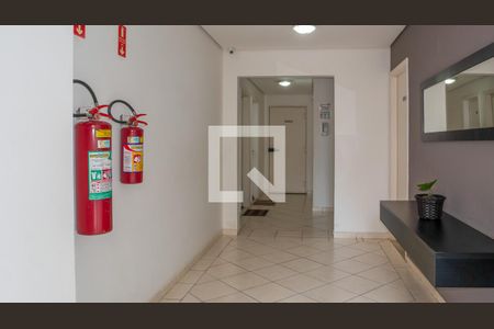 Apartamento à venda com 74m², 3 quartos e 2 vagas Apartamento à venda com 74m², 3 quartos e 2 vagasHall de Entrada