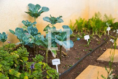 Apartamento à venda com 80m², 3 quartos e 1 vagaÁrea Comum - Horta