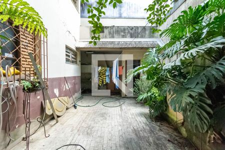 Casa para alugar com 250m², 4 quartos e 4 vagasQuintal