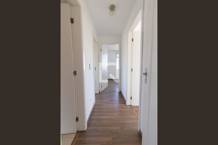 Corredor de apartamento para alugar com 3 quartos, 70m² em Bigorrilho, Curitiba