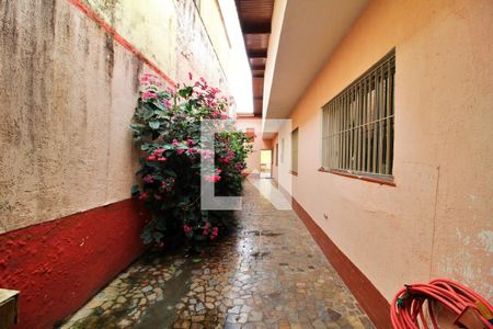 Casa à venda com 340m², 4 quartos e 1 vagaQuintal