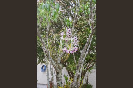 Casa à venda com 410m², 4 quartos e 6 vagasOrquídeas