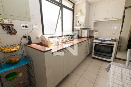 Apartamento à venda com 302m², 3 quartos e 2 vagasCozinha - Armários
