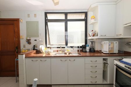 Apartamento à venda com 302m², 3 quartos e 2 vagasCozinha - Armários