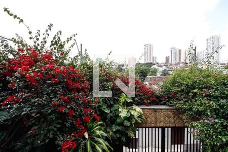 Casa à venda com 352m², 5 quartos e 6 vagas Casa à venda com 352m², 5 quartos e 6 vagasVista