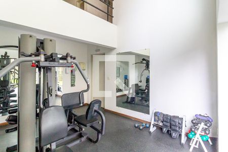 Apartamento à venda com 408m², 3 quartos e 5 vagasÁrea comum - Academia