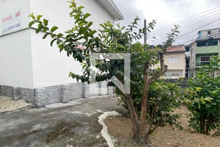 Casa para alugar com 240m², 4 quartos e 3 vagasQuintal