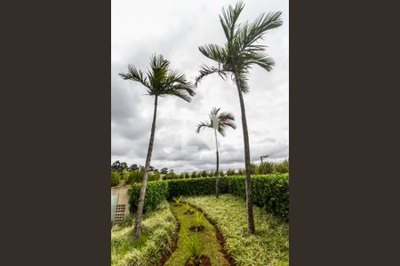 Apartamento à venda com 71m², 3 quartos e 1 vagaÁrea comum