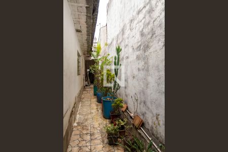 Área Externa de casa para alugar com 1 quarto, 125m² em Jardim Valeria, Guarulhos