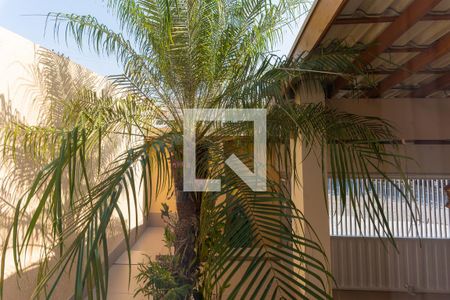 Casa à venda com 280m², 3 quartos e 2 vagas Casa à venda com 280m², 3 quartos e 2 vagasVista do Quarto 2