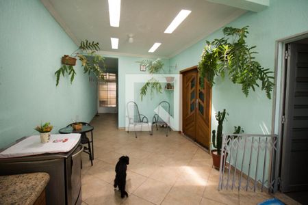 Casa à venda com 290m², 5 quartos e 8 vagasÁrea comum - Churrasqueira