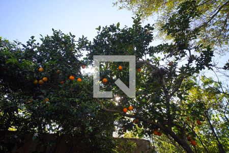 Casa à venda com 400m², 3 quartos e 6 vagasQuintal