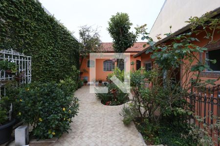 Casa à venda com 330m², 4 quartos e 3 vagasQuintal/Jardim