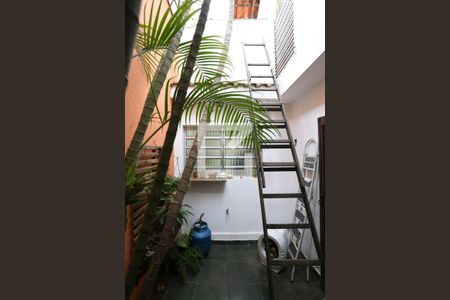 Casa à venda com 330m², 4 quartos e 3 vagasÁrea Externa 2
