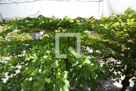 Apartamento à venda com 58m², 2 quartos e sem vagaVista do Quarto 2