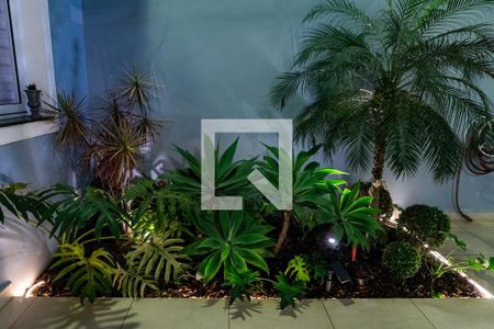 Casa para alugar com 234m², 3 quartos e 3 vagas Casa para alugar com 234m², 3 quartos e 3 vagasJardim