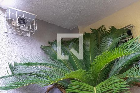 Área comum - Câmera de Segurança de casa para alugar com 1 quarto, 22m² em Vila Zelina, São Paulo