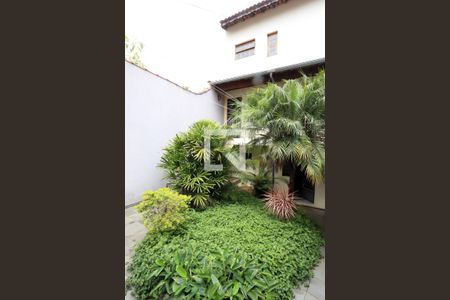 Casa à venda com 540m², 3 quartos e 6 vagasQuintal/Jardim