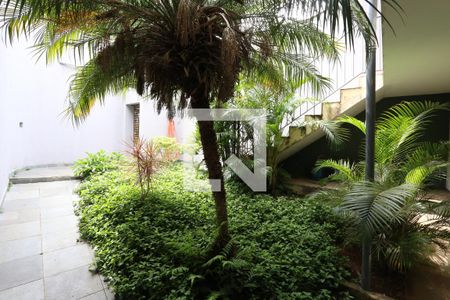 Casa à venda com 540m², 3 quartos e 6 vagasQuintal/Jardim