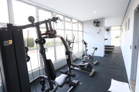 Apartamento à venda com 240m², 2 quartos e 2 vagasÁrea comum - Academia