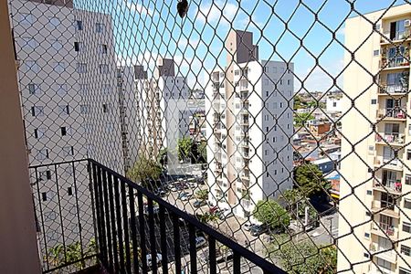 Varanda da Sala de apartamento para alugar com 2 quartos, 51m² em Jardim Umarizal, São Paulo