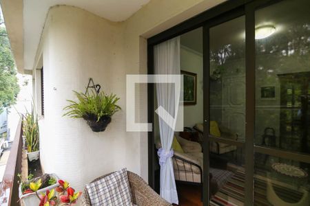 Varanda da Sala de apartamento para alugar com 4 quartos, 123m² em Jardim Ampliação, São Paulo