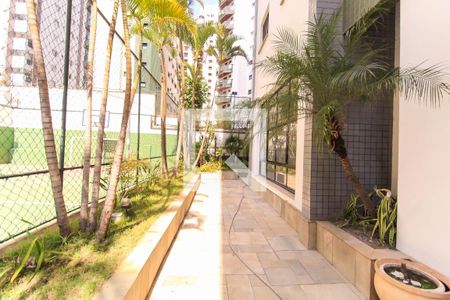 Apartamento para alugar com 124m², 3 quartos e 3 vagas Apartamento para alugar com 124m², 3 quartos e 3 vagasÁrea Externa