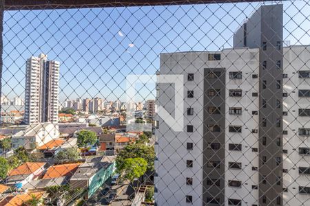 Apartamento para alugar com 200m², 5 quartos e 4 vagas Apartamento para alugar com 200m², 5 quartos e 4 vagasVista do Quarto 2