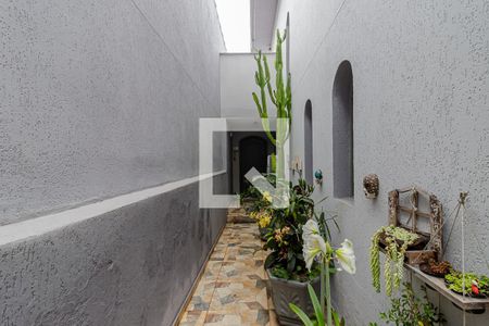 Casa à venda com 300m², 3 quartos e 2 vagas Casa à venda com 300m², 3 quartos e 2 vagasQuintal