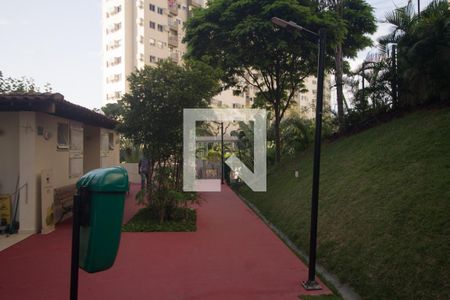 Apartamento para alugar com 50m², 2 quartos e 1 vaga Apartamento para alugar com 50m², 2 quartos e 1 vagaÁrea comum