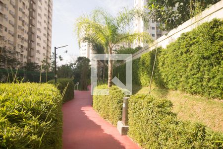 Apartamento para alugar com 50m², 2 quartos e 1 vaga Apartamento para alugar com 50m², 2 quartos e 1 vagaÁrea comum