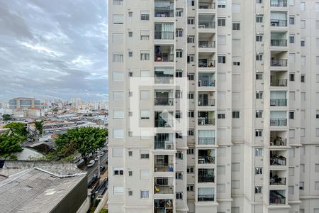 Apartamento para alugar com 39m², 2 quartos e sem vaga Apartamento para alugar com 39m², 2 quartos e sem vagavista da cozinha