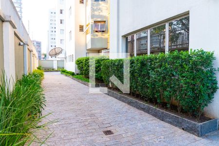 Apartamento para alugar com 55m², 2 quartos e 1 vaga Apartamento para alugar com 55m², 2 quartos e 1 vagaÁrea comum