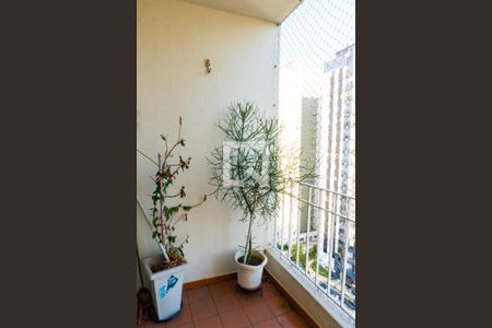 Sacada de apartamento para alugar com 2 quartos, 55m² em Bosque da Saúde, São Paulo
