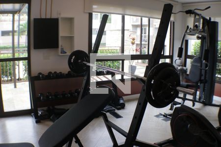 Apartamento à venda com 67m², 3 quartos e 1 vagaÁrea comum - Academia