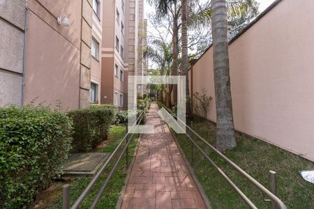 Apartamento para alugar com 45m², 2 quartos e 1 vaga Apartamento para alugar com 45m², 2 quartos e 1 vagaÁrea externa