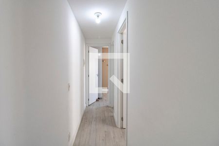 Corredor de apartamento para alugar com 2 quartos, 40m² em Cambuci, São Paulo