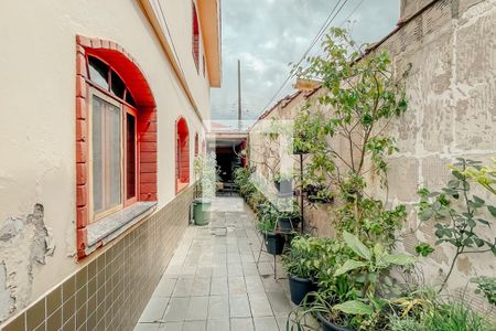 Casa à venda com 352m², 3 quartos e 2 vagas Casa à venda com 352m², 3 quartos e 2 vagasQuintal