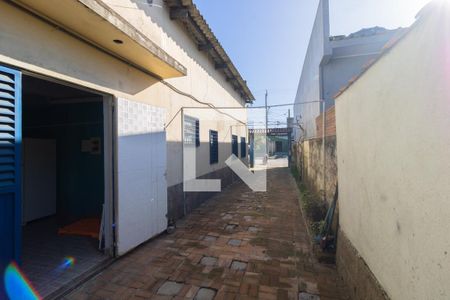 Casa para alugar com 300m², 3 quartos e 2 vagasQuintal