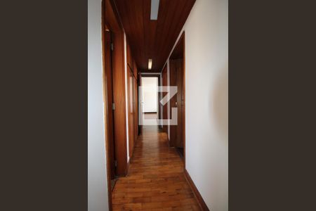 Corredor de apartamento para alugar com 3 quartos, 113m² em Cambuí, Campinas