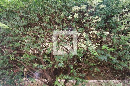 Apartamento à venda com 65m², 2 quartos e 1 vagaVista do Quarto 2 (suíte)