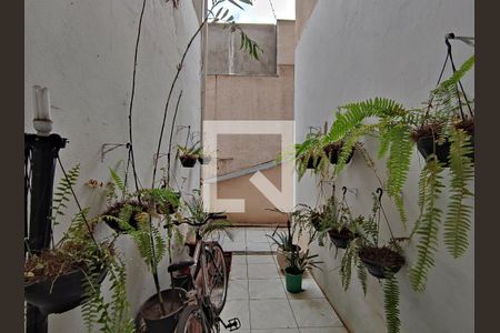 Casa à venda com 354m², 7 quartos e 2 vagas
